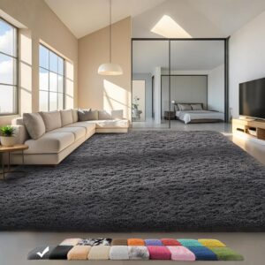Area Rugs for Bedroom Living Room, Grey Fluffy Fuzzy Shag Shaggy Soft Plush Carpet, 4x6 Indoor Floor Gray Rug for Kids Home Dorm Decor Aesthetic